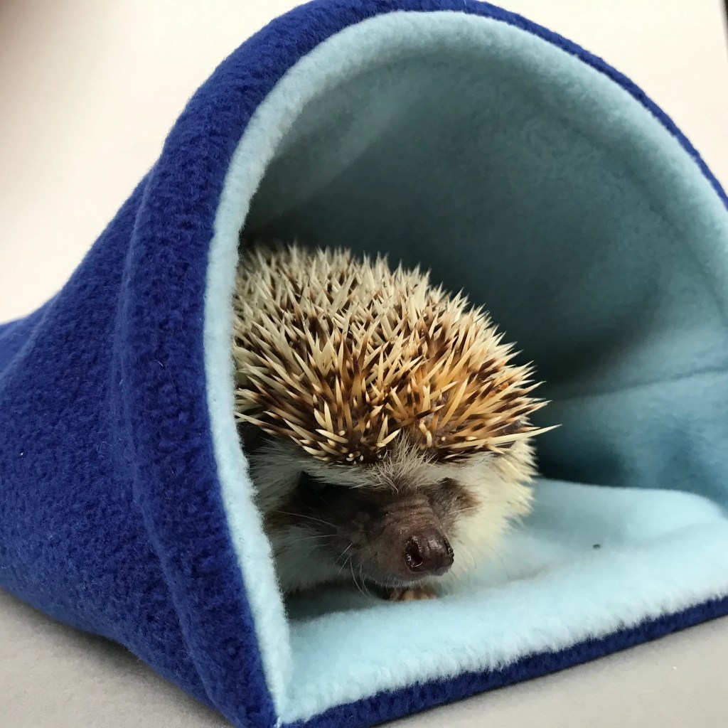 Independent business: The&nbsp;Hoghouse