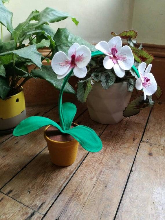 Independent business: Little&nbsp;Egg